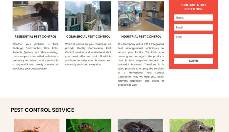 Modern Web Design For Local Agency & Company
