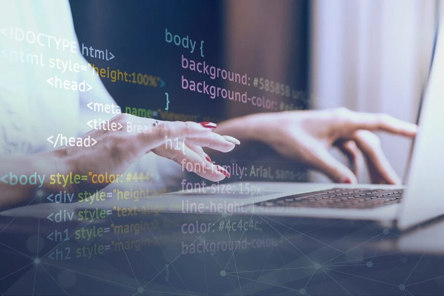 Bismarck’s Trusted Web Design & Development Experts