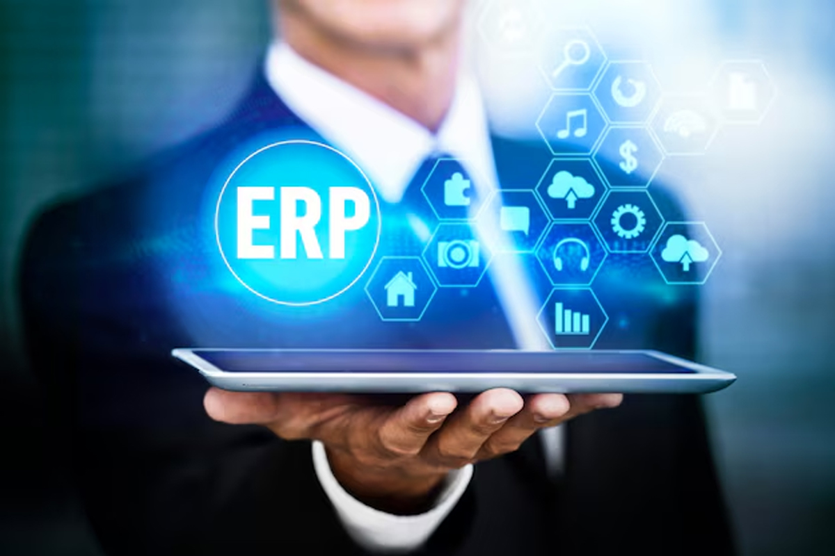 ERP Professional Services